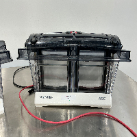 Invitrogen Mini Gel Tank x2 image 2